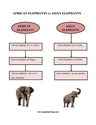 Picture of African Elephants vs Asian Elephants
