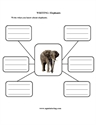 Picture of Writing: Elephants